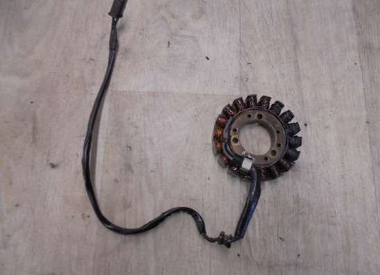 Dynamo Kawasaki ZZR 600