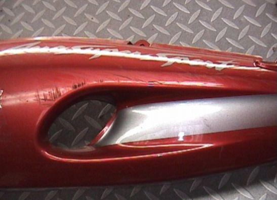 Heck links Yamaha YZF 600 Thundercat