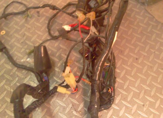 Kabelbaum Yamaha YZF 600 Thundercat