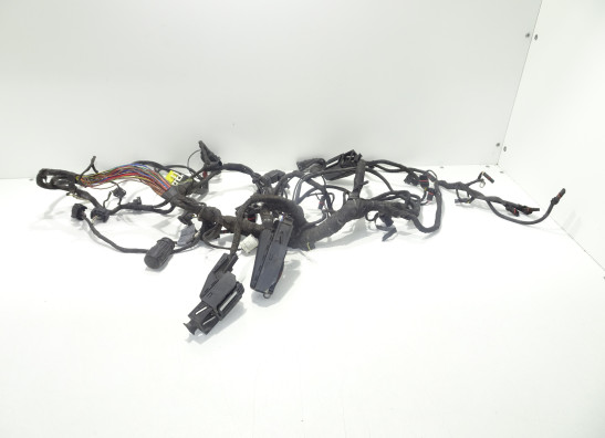 Kabelbaum BMW R 1200 GS