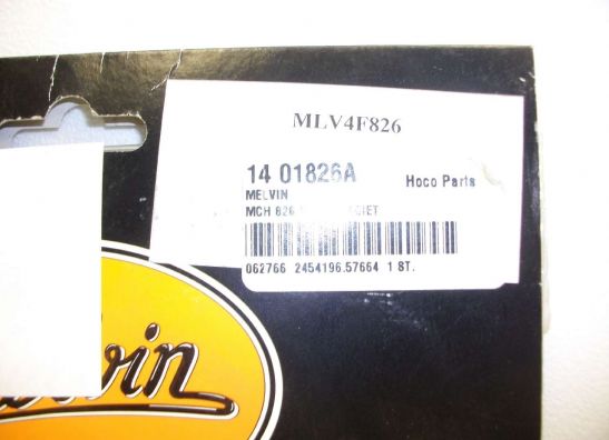 Remleiding voor Honda CBF 1000