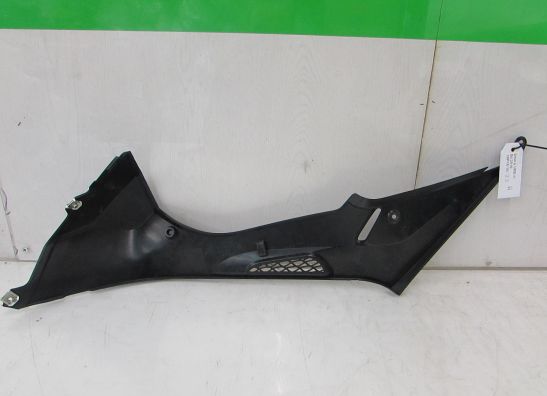 Tankschutz BMW S 1000 RR