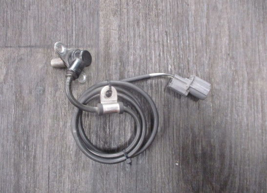 ABS sensor rear Triumph Tiger 1050