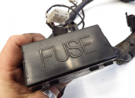 Kabelboom Yamaha TDM