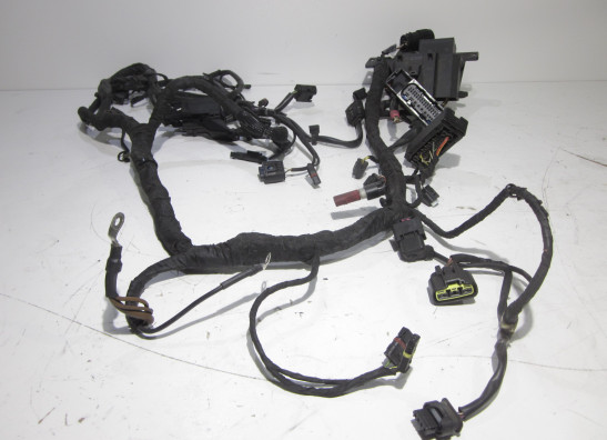 Wire Harness BMW S 1000 R
