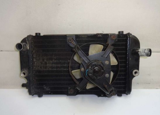 Radiator Kawasaki EL 250