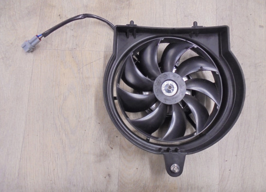 Fan Voge 900 DSX