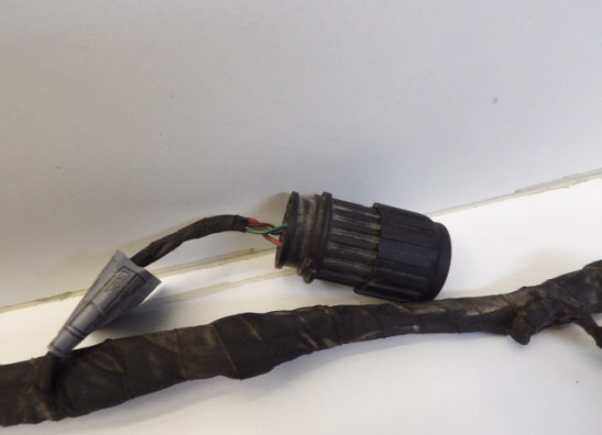 Kabelboom BMW R 1200 GS