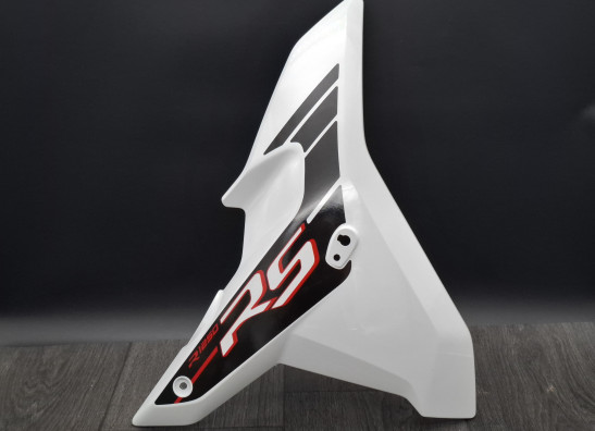 Rechter zijkuip klein BMW R 1250 RS