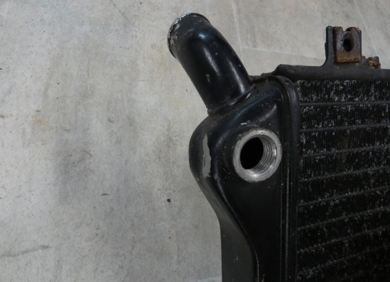 Kuhler Kawasaki ZXR 750