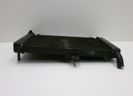 Radiator Yamaha YZF 600 Thundercat