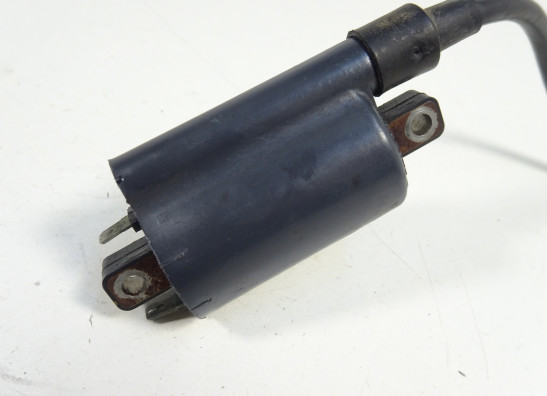 Bobine Ducati monster 600