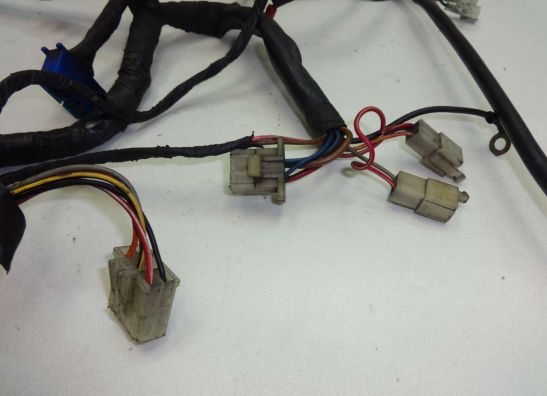 Kabelboom Yamaha FJ 1100