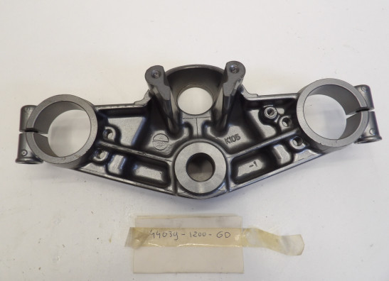 Kroonplaat Kawasaki ZZR 1100