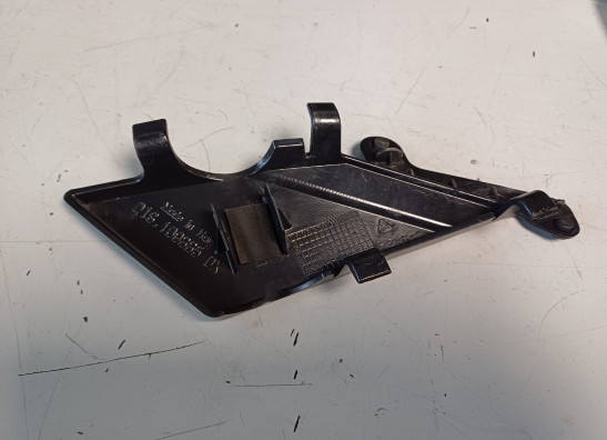 Overig Aprilia Tuono 1000