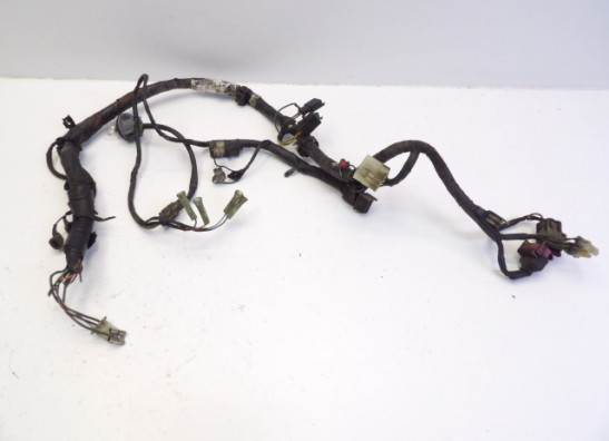 Wire Harness Honda CB 250