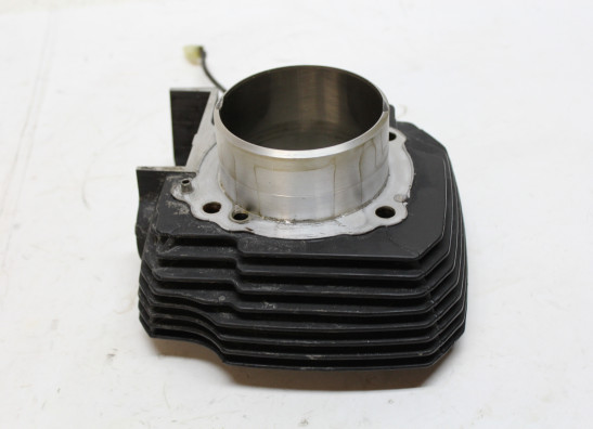 Cilinderblok Ducati monster 696