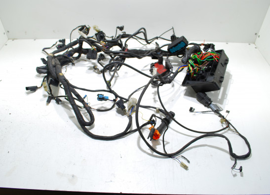 Wire Harness BMW R 1150 RT   R 850 RT
