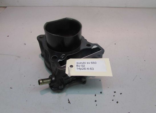 Cilinderblok Suzuki SV 650