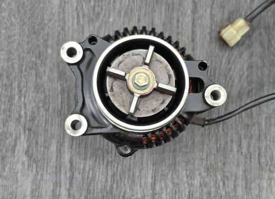 Dynamo Triumph Trophy 1200