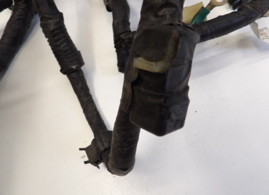 Kabelboom Honda CBR 600 F