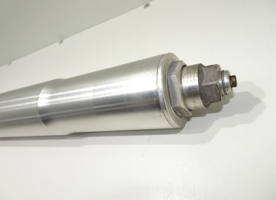 Front Fork left complete Ducati Monster S4