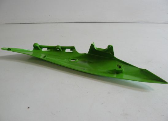 Heck links Kawasaki ZX 10 R