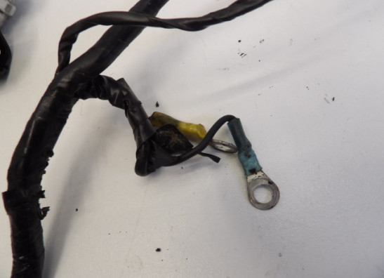 Kabelboom Triumph Trophy 900