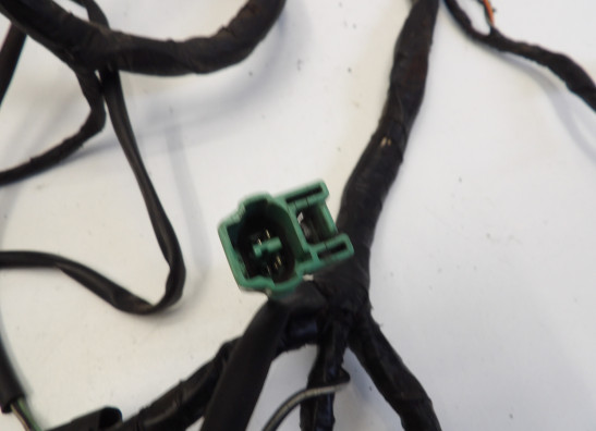 Kabelboom Suzuki RF 900