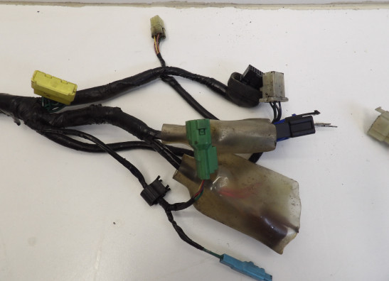 Kabelboom Honda CBF 1000