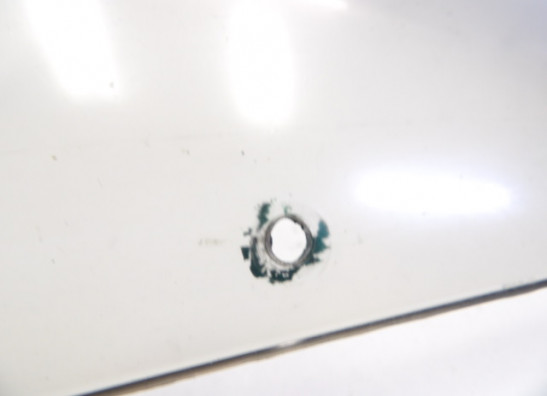 Wind screen Kawasaki ZX 9 R