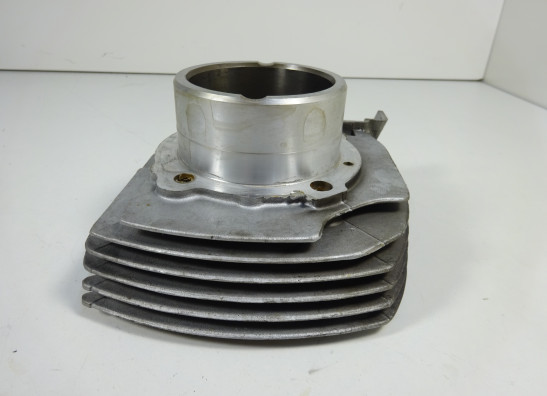 Cilinderblok Ducati monster 600