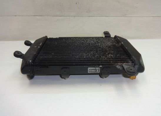 Kuhler Suzuki Burgman 400