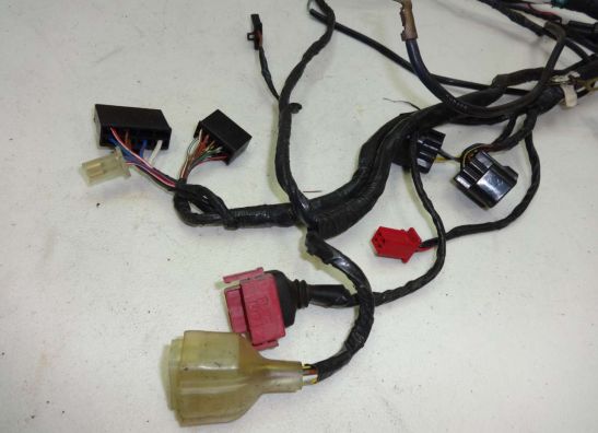 Wire Harness Kawasaki ZX 6 R