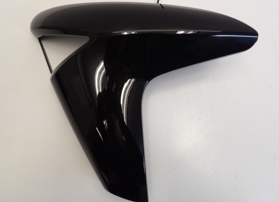 Seitenverkleidung links klein Kawasaki ER 6