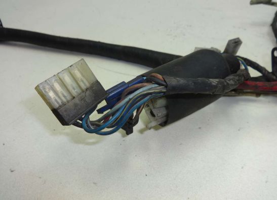 Wire Harness Yamaha TDM