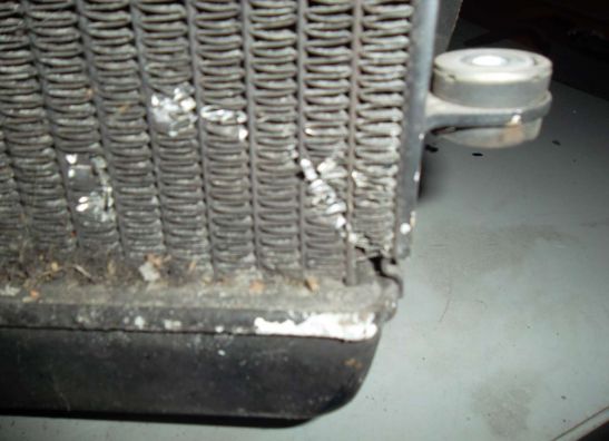 Radiateur Honda Fes 150