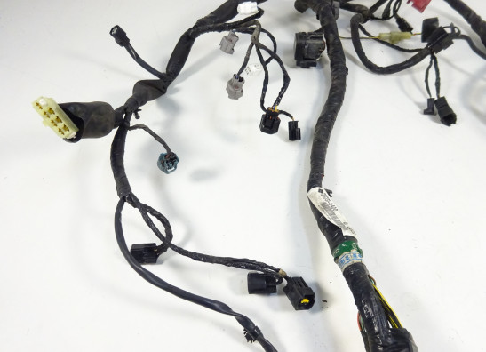 Wire Harness Kawasaki ER 6
