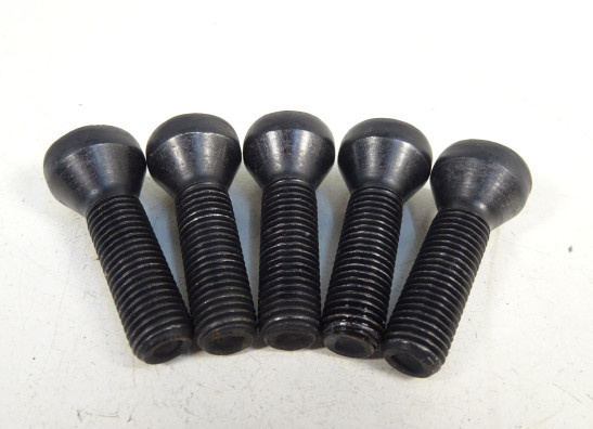 Achtervelg BMW R 1200 R