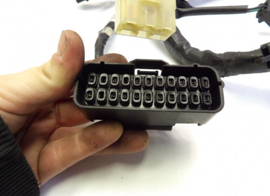 Wire Harness Honda CBR 600 F