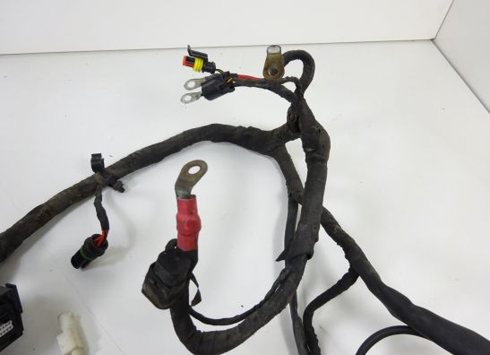 Wire Harness BMW F 800 S - ST
