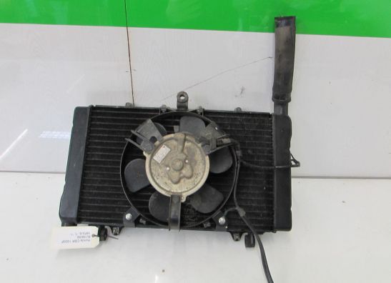 Radiator Honda CBR 1000 F