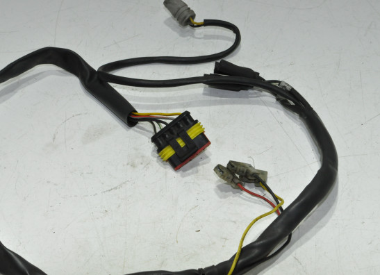 Wire harness front Ducati Monster S4