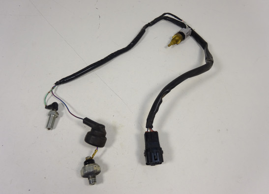 Sensor - overige elektronica Kawasaki Z 1000