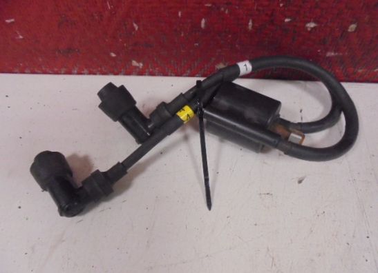 Ignition Coil Yamaha XJ 600 Diversion