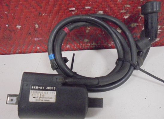 Bobine Yamaha XJ 900 S Diversion