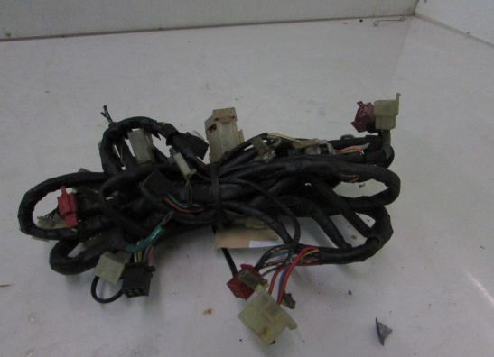 Kabelbaum Honda PC 800