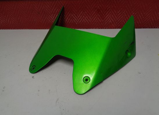 Onderkuip Kawasaki ZZR 1400