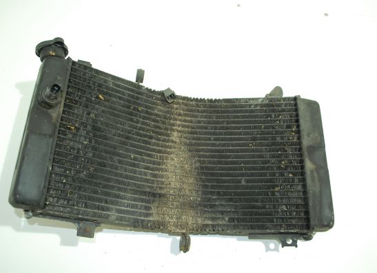 Radiator Suzuki GSX R 750