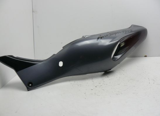Heck links Yamaha YZF 1000 Thunderace